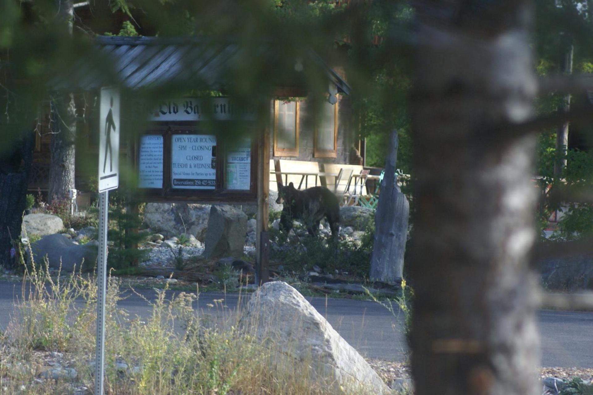 Alpenglow Bed And Breakfast Kimberley Bagian luar foto